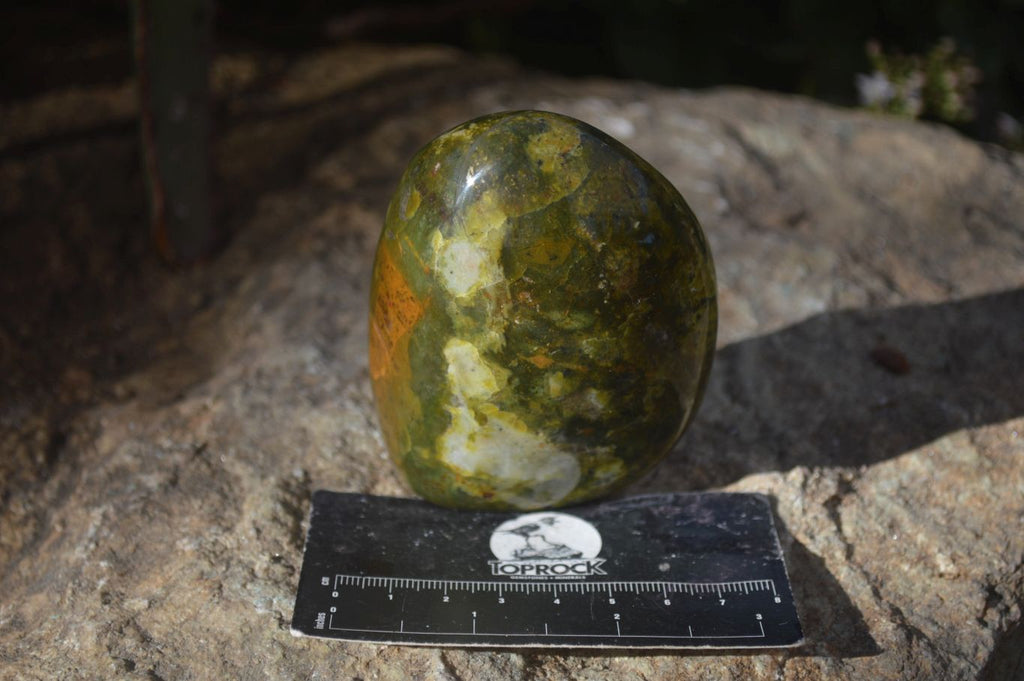 Polished Green Opal Standing Free Forms  x 6 From Madagascar - Toprock Gemstones and Minerals 