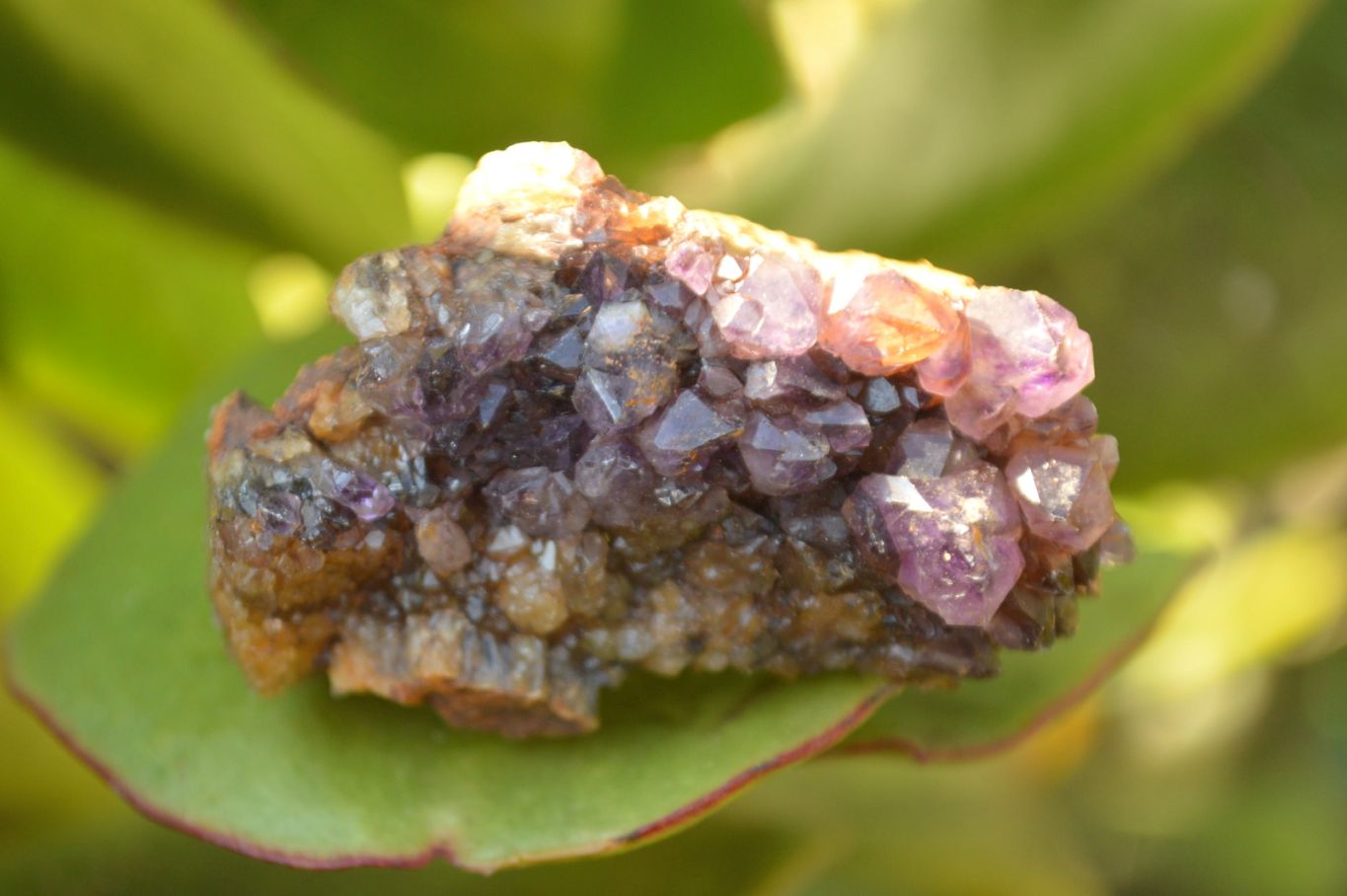 Natural Small Dark "Amethystos" Amethyst Clusters x 35 From Kwaggafontein, South Africa - TopRock