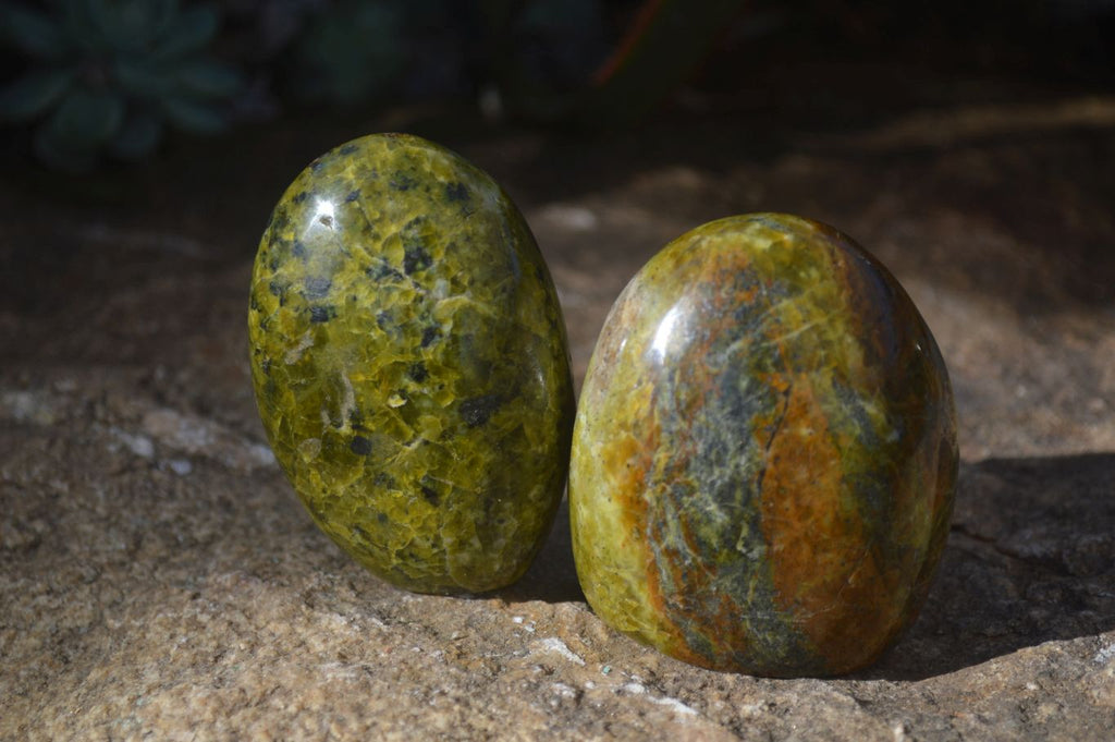 Polished Green Opal Standing Free Forms  x 6 From Madagascar - Toprock Gemstones and Minerals 