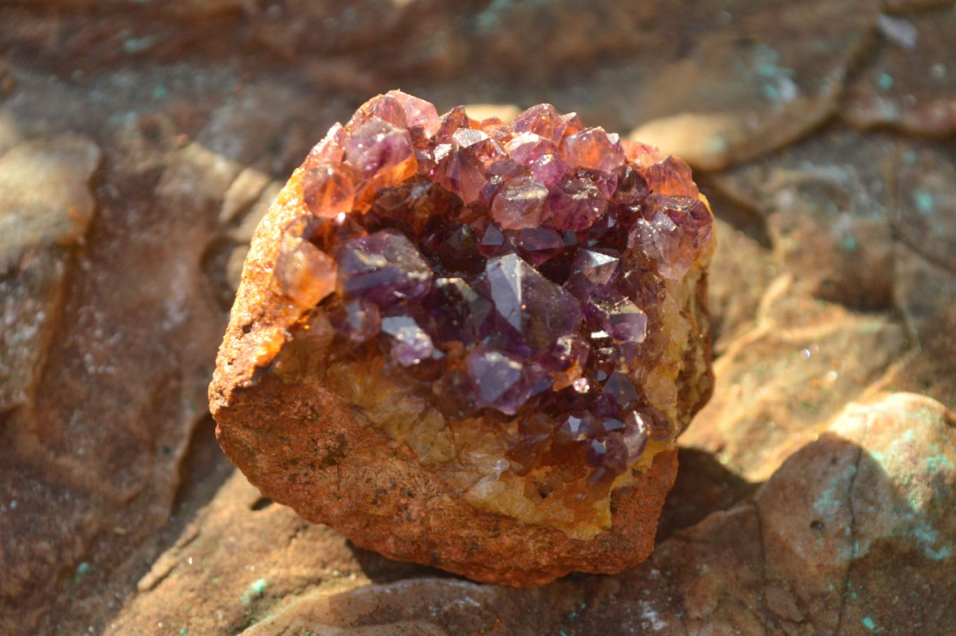 Natural Small Dark "Amethystos" Amethyst Clusters x 35 From Kwaggafontein, South Africa - TopRock