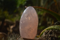 Polished Pink Rose Quartz Standing Free Forms x 2 From Ambatondrazaka, Madagascar - TopRock