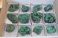 Natural Chatoyant Silky Malachite Specimens  x 12 From Kasompe, Congo - Toprock Gemstones and Minerals 
