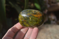 Polished Large Green Opal Galet - Palm Stone x 12 From Madagascar - Toprock Gemstones and Minerals 