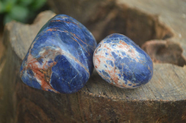 Polished Deep Blue Sodalite Free Forms  x 12 From Namibia - Toprock Gemstones and Minerals 