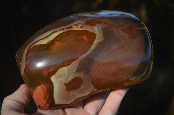 Polished One Side Polished Polychrome Jasper Standing Free Form  x 1 From Madagascar - Toprock Gemstones and Minerals 