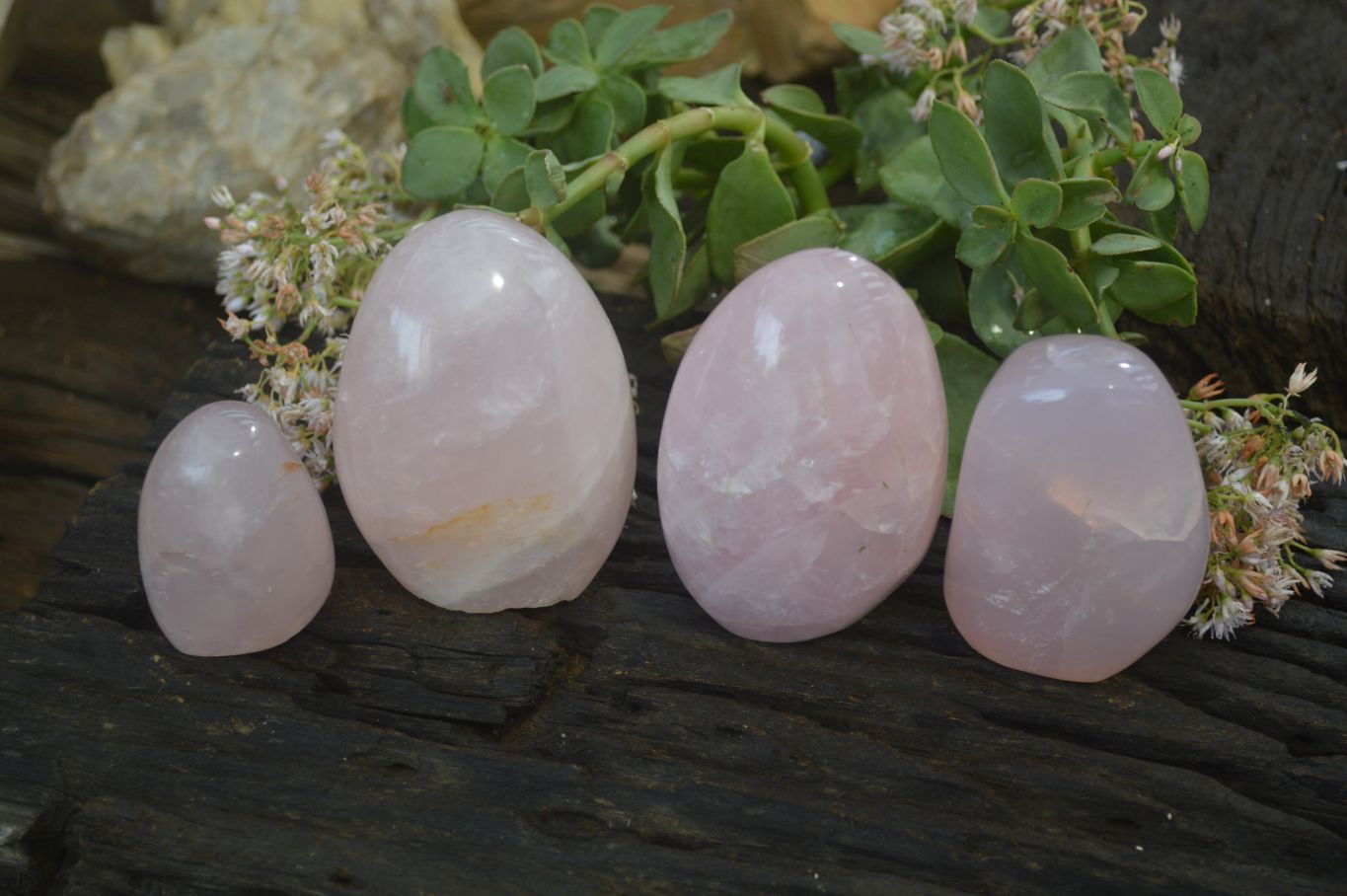 Polished Pink Rose Quartz Standing Free Forms x 4 From Antsirabe, Madagascar - Toprock Gemstones and Minerals 