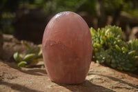 Polished Pink Rose Quartz Standing Free Forms x 2 From Ambatondrazaka, Madagascar - TopRock