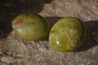 Polished Large Green Opal Galet - Palm Stone x 12 From Madagascar - Toprock Gemstones and Minerals 