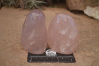 Polished  Pink Rose Quartz Standing Free Forms x 4 From Ambatondrazaka, Madagascar - TopRock
