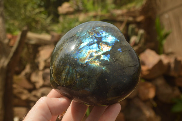 Polished Large Labradorite Hearts x 2 From Tulear, Madagascar - TopRock