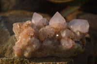 Natural Spirit Amethyst Quartz Clusters x 4 From Boekenhouthoek, South Africa - Toprock Gemstones and Minerals 