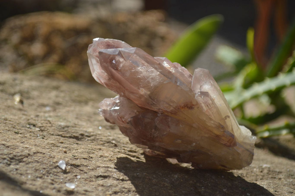 Natural Red Hematoid Quartz Specimens x 6 From Karoi, Zimbabwe - Toprock Gemstones and Minerals 