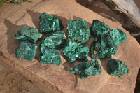 Natural Chatoyant Silky Malachite Specimens  x 12 From Kasompe, Congo - Toprock Gemstones and Minerals 