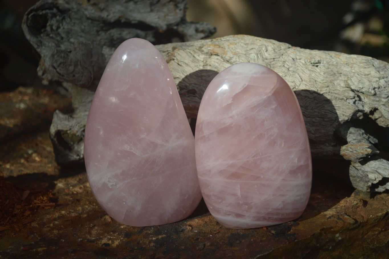 Polished Pink Rose Quartz Standing Free Forms x 2 From Madagascar - Toprock Gemstones and Minerals 