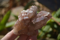 Natural Red Hematoid Quartz Specimens x 6 From Karoi, Zimbabwe - Toprock Gemstones and Minerals 