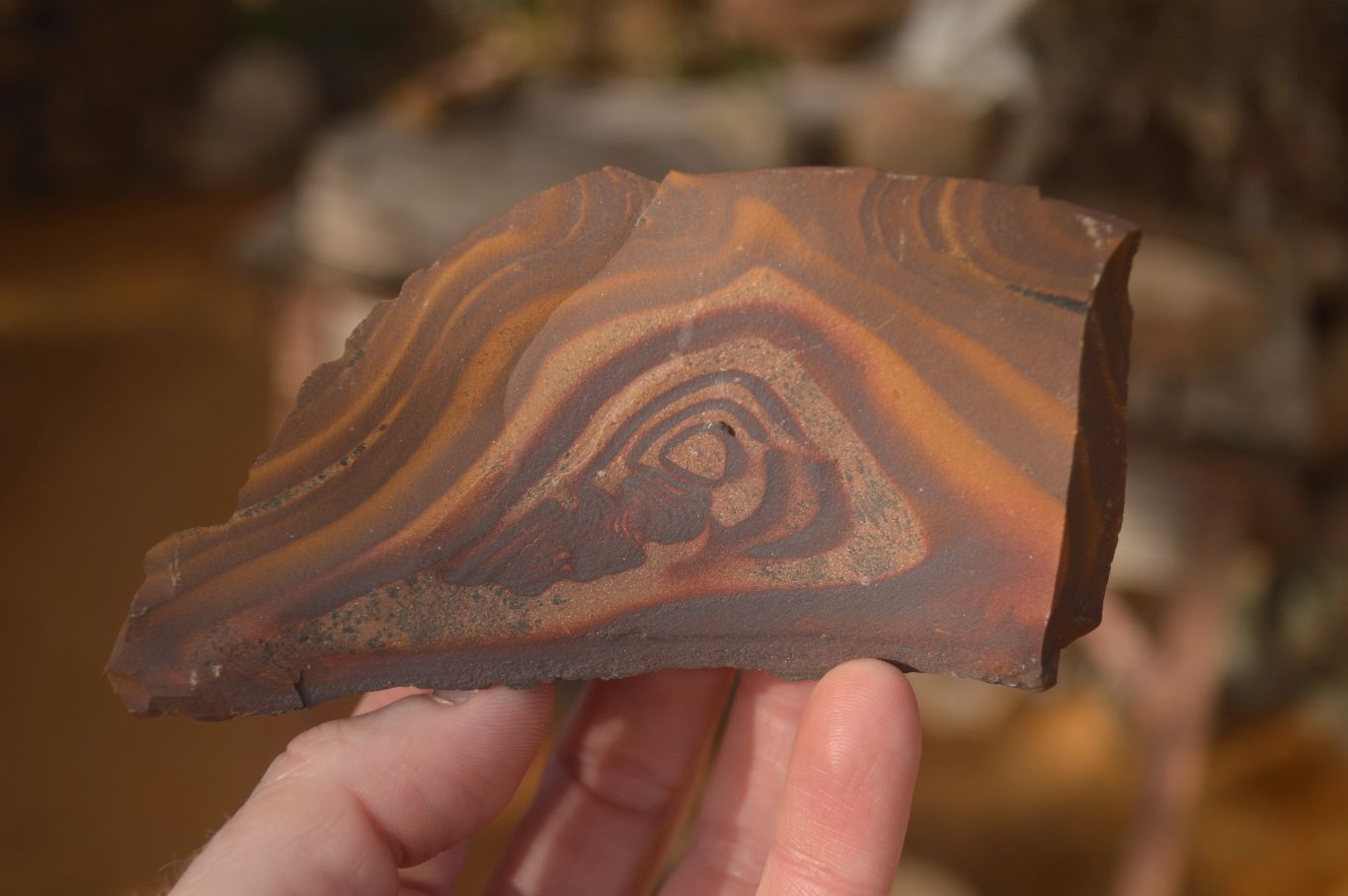 Natural Cobbed Nguni Jasper Pieces  x 12 From Southern Africa - Toprock Gemstones and Minerals 