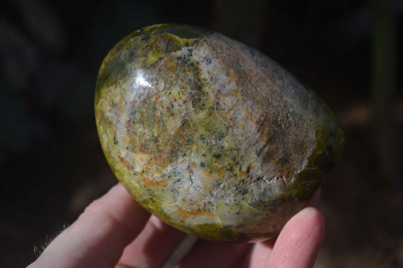 Polished Green Opal Standing Free Forms  x 6 From Madagascar - Toprock Gemstones and Minerals 