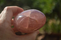Polished Pink Rose Quartz Standing Free Forms x 2 From Ambatondrazaka, Madagascar - TopRock