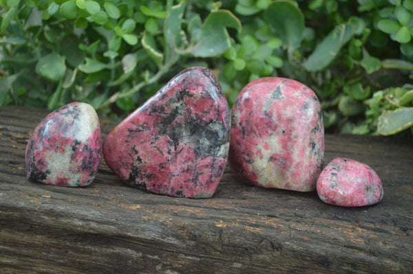 Polished Red Rhodonite Free Forms  x 4 From Zimbabwe - Toprock Gemstones and Minerals 
