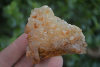 Natural Limonite Tinted Quartz Crystal Plates  x 35 From Zambia - Toprock Gemstones and Minerals 