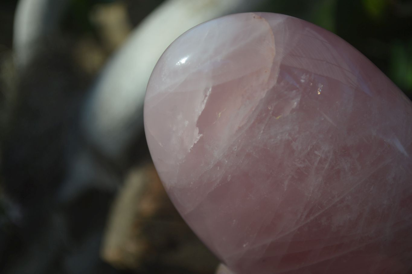 Polished Pink Rose Quartz Standing Free Forms x 2 From Madagascar - Toprock Gemstones and Minerals 