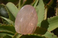 Polished  Pink Rose Quartz Standing Free Forms x 4 From Ambatondrazaka, Madagascar - TopRock