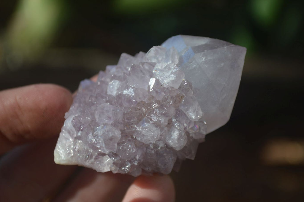 Natural Spirit Amethyst Quartz Crystals x 20 From Boekenhouthoek, South Africa - Toprock Gemstones and Minerals 