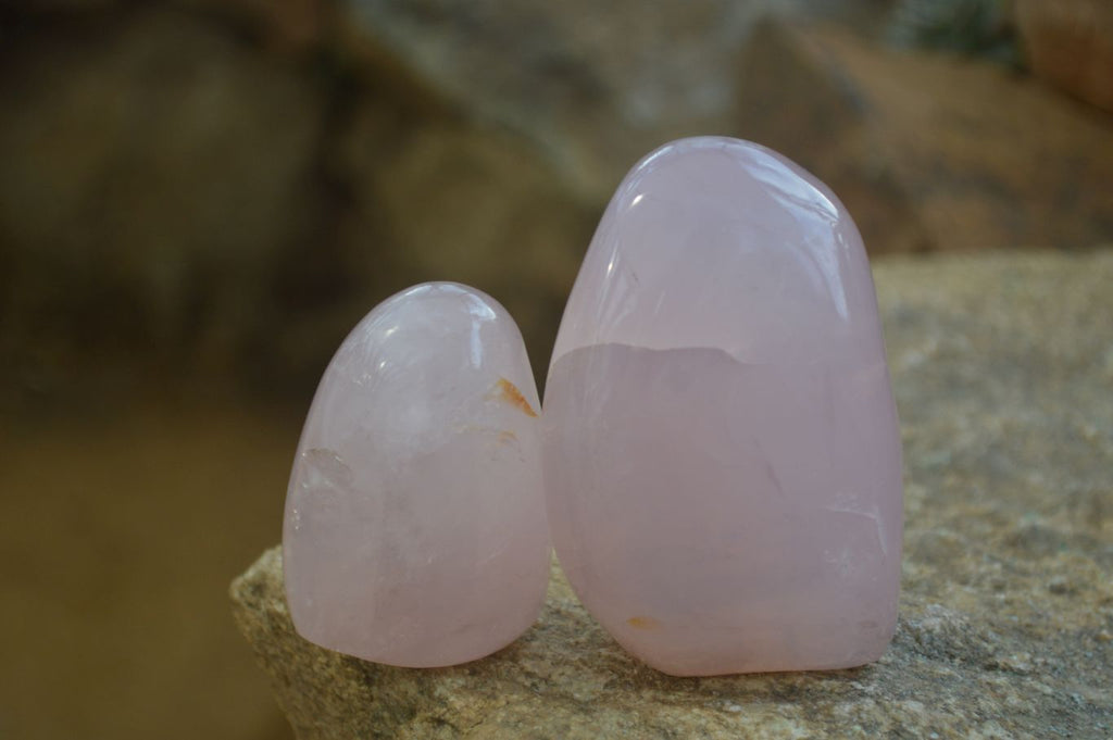 Polished Pink Rose Quartz Standing Free Forms x 4 From Antsirabe, Madagascar - Toprock Gemstones and Minerals 
