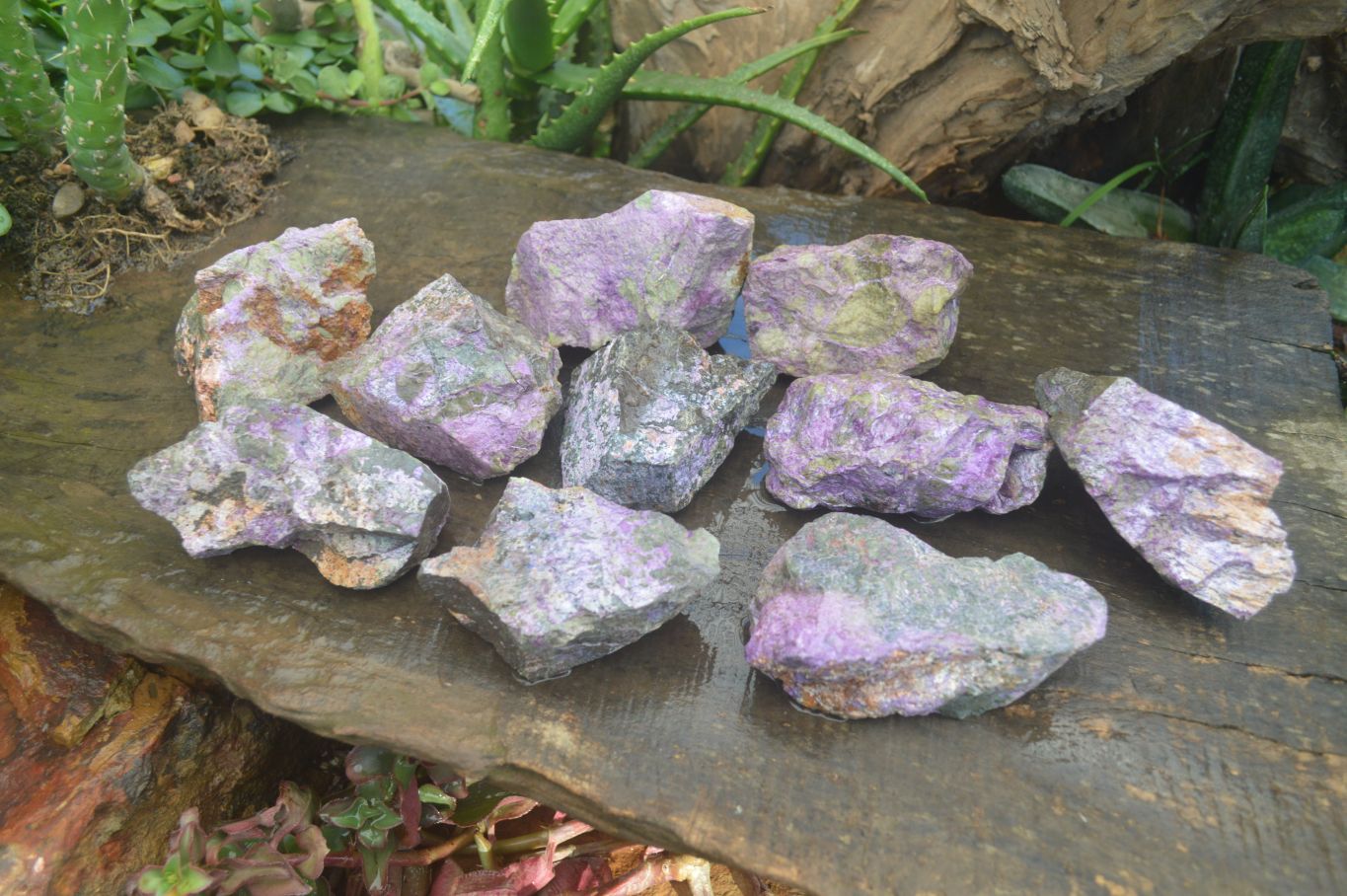Natural Stichtite & Serpentine Cobbed Specimens  x 12 From Barberton, South Africa - Toprock Gemstones and Minerals 