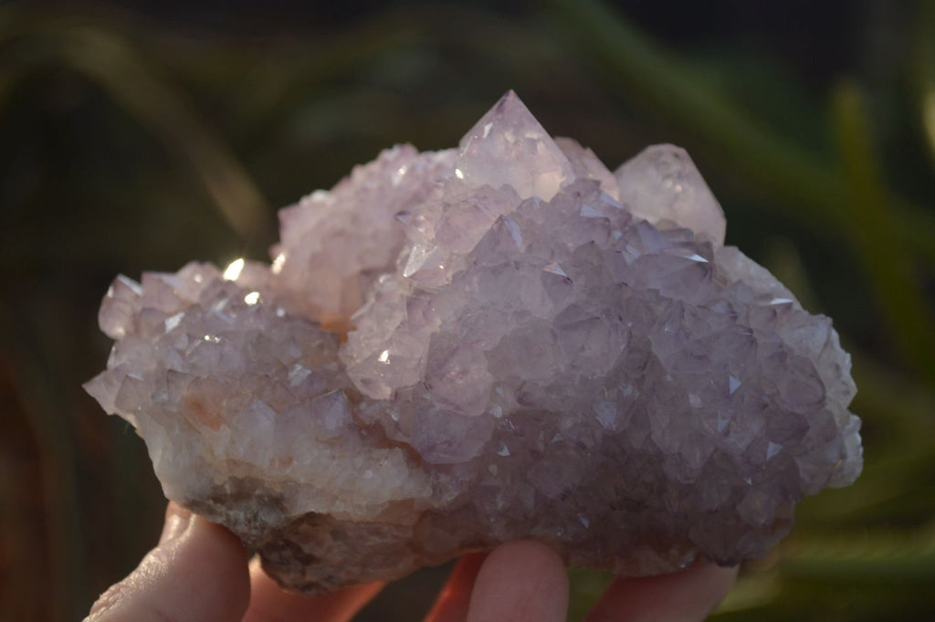 Natural Spirit Amethyst Quartz Clusters x 4 From Boekenhouthoek, South Africa - Toprock Gemstones and Minerals 