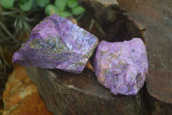 Natural Rough Stichtite & Serpentine Specimens  x 24 From Barberton, South Africa - Toprock Gemstones and Minerals 