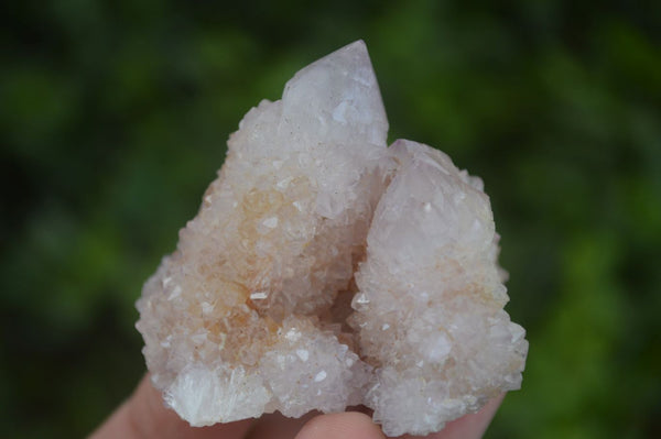 Natural Spirit Amethyst Quartz Clusters  x 12 From Boekenhouthoek, South Africa - Toprock Gemstones and Minerals 