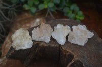 Natural Small Mixed Quartz Clusters  x 70 From Zambia - Toprock Gemstones and Minerals 
