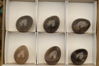 Polished Morion Smokey Quartz Eggs x 6 From Madagascar - TopRock