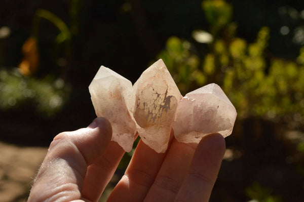 Natural Single Pineapple Quartz Crystals  x 70 From Madagascar