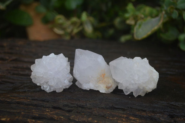 Natural White Spirit Cactus Quartz Crystals  x 24 From Boekenhouthoek, South Africa
