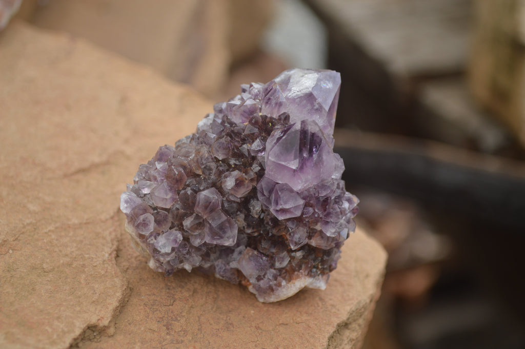 Natural Selected Mixed Spirit Quartz Clusters  x 35 From Boekenhouthoek, South Africa - TopRock