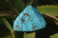 Polished Blue Shattuckite Free Forms  x 6 From Erongo, Namibia - Toprock Gemstones and Minerals 