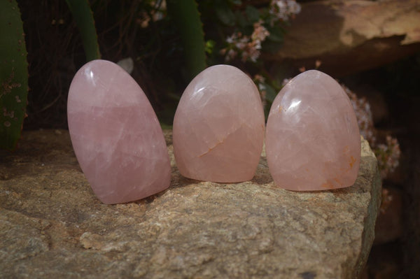 Polished Pink Rose Quartz Standing Free Forms x 3 From Antsirabe, Madagascar - Toprock Gemstones and Minerals 