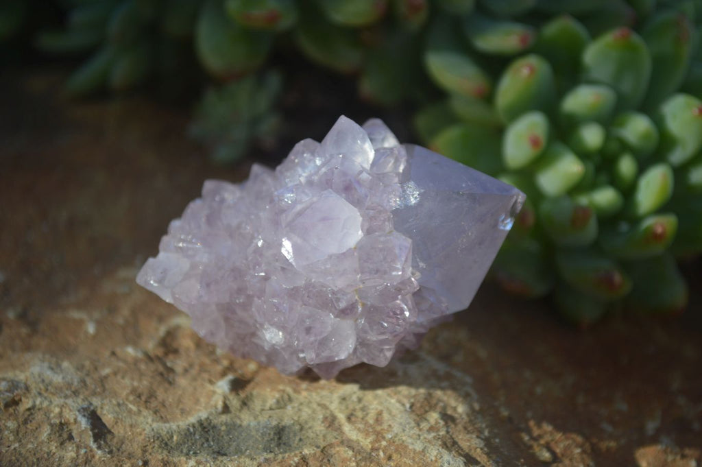 Natural Spirit Amethyst Quartz Crystals x 20 From Boekenhouthoek, South Africa - Toprock Gemstones and Minerals 