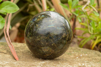 Polished Extra Large Labradorite Sphere & Palisandre Rose Wood Stand  x 1 From Tulear, Madagascar - TopRock