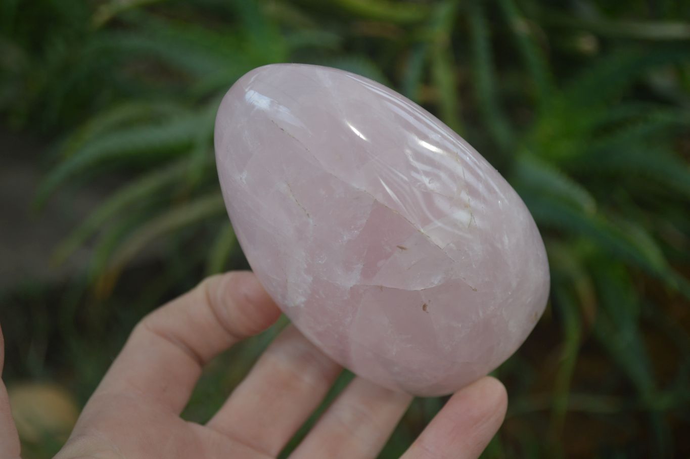 Polished Pink Rose Quartz Standing Free Forms x 4 From Antsirabe, Madagascar - Toprock Gemstones and Minerals 