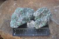Natural Rare Emerald Mica In Matrix Cobbed Specimens x 12 From Mutoko, Zimbabwe - Toprock Gemstones and Minerals 