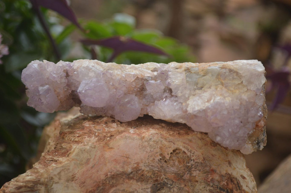 Natural Mixed Selection Of Minerals & Crystals x 6 From Southern Africa - Toprock Gemstones and Minerals 