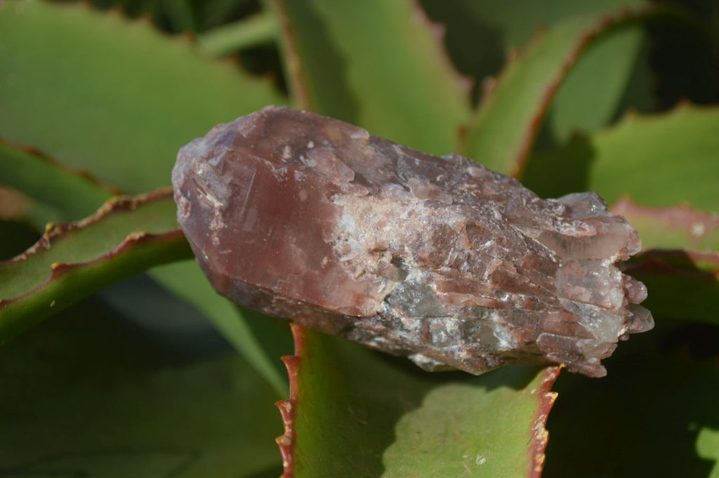Natural Red Hematoid Quartz Specimens x 6 From Karoi, Zimbabwe - Toprock Gemstones and Minerals 