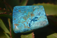 Polished Blue Shattuckite Free Forms  x 6 From Erongo, Namibia - Toprock Gemstones and Minerals 