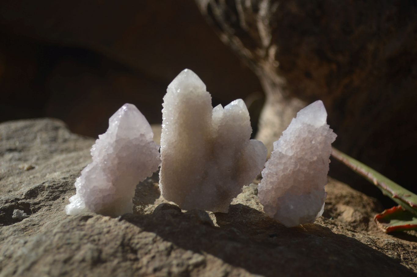 Natural Pale Lilac Spirit Quartz Crystals x 35 From Boekenhouthoek, South Africa - Toprock Gemstones and Minerals 
