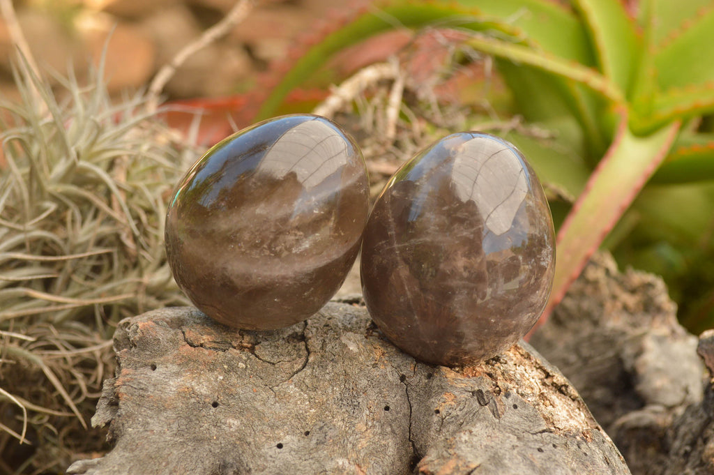 Polished Morion Smokey Quartz Eggs x 6 From Madagascar - TopRock