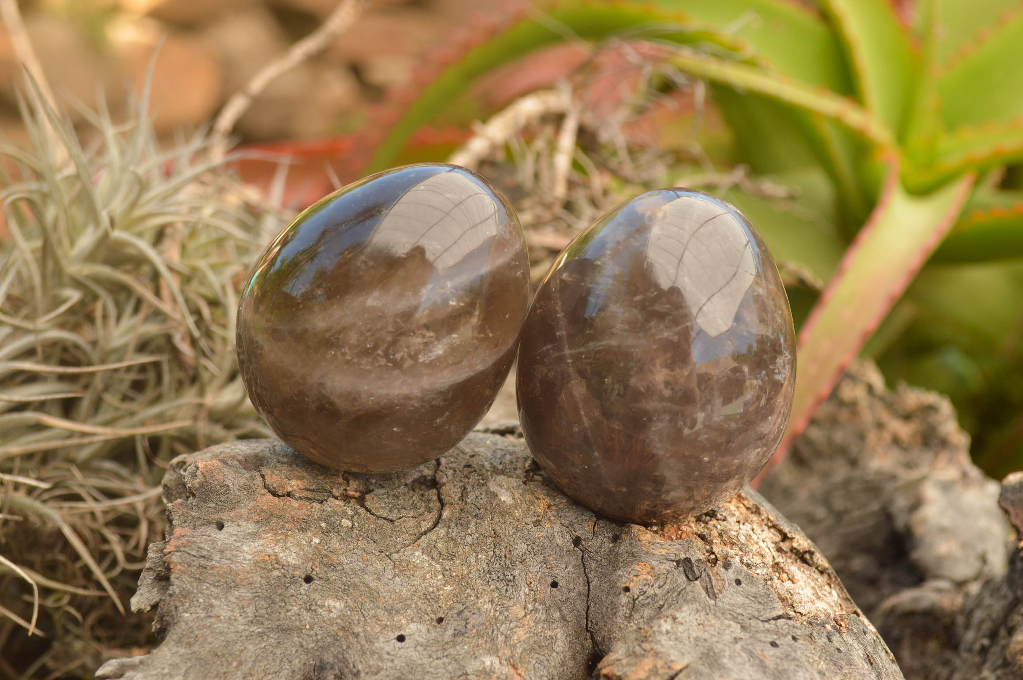 Polished Morion Smokey Quartz Eggs x 6 From Madagascar - TopRock