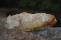 Natural Limonite Tinted Quartz Crystal Plates  x 35 From Zambia - Toprock Gemstones and Minerals 